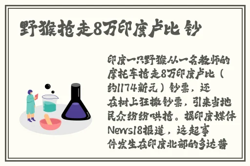 巜果冻传媒2021精品破解版